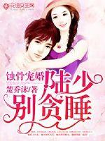 蚀骨宠婚:陆少,别贪睡